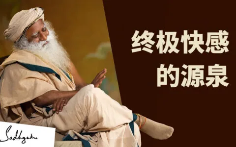 松果体——远比性更大的愉悦
