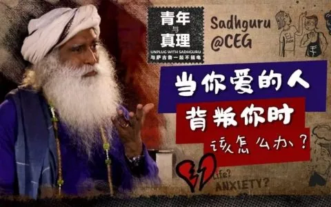 当你爱的人背叛你时，该怎么办？