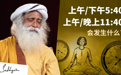 呼吸与能量在一天里的变化