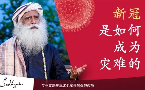 谁对这场灾难负责？