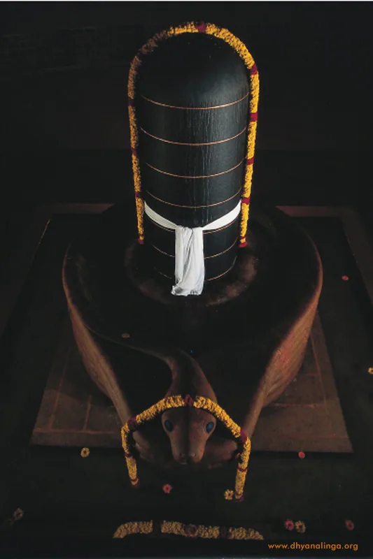 Mahashivratri 准备练习