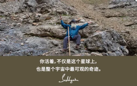 你作为一个生命，是最伟大的现象
