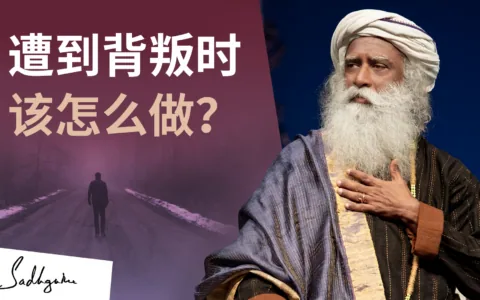 当有人背叛你的信任时该怎么做？