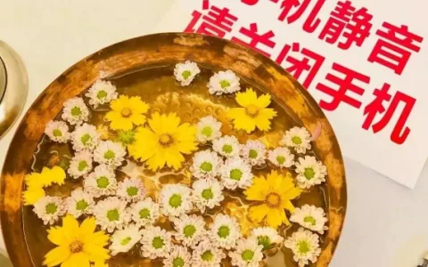 Isha哈他瑜伽分享丨我和瑜伽：献给五十五岁的花季