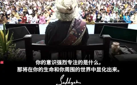 让对你最有利的，像魔法般自然呈现丨视频