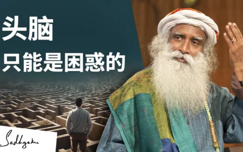 头脑只能是困惑的