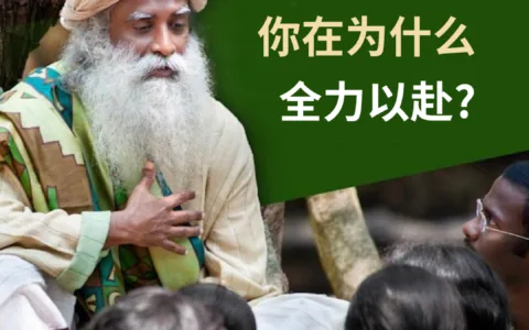 你在为什么全力以赴?