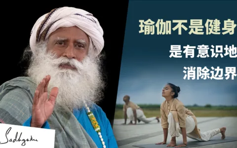 萨古鲁跟麻省理工师生解释瑜伽