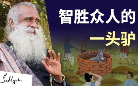 你试图掩埋的终将回击你