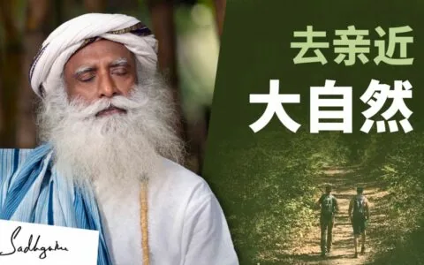 跳过度假村，花些时间去森林里