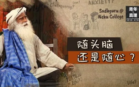 跟随头脑还是跟随心？丨视频