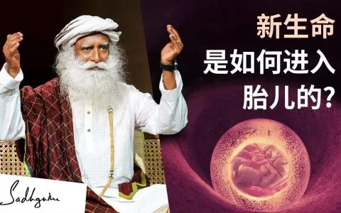 新生命是如何进入胎儿的？