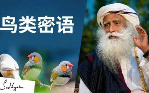 鸟类的密语——解读大自然的讯号丨视频