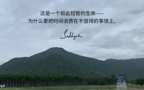 只有去做你真正在乎的事，你这一生才会值得