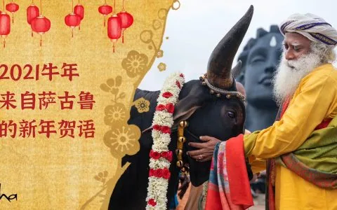 2021牛年来自萨古鲁的新年贺语