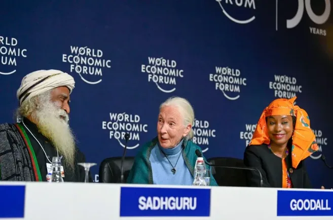 关于萨古鲁|Sadhguru