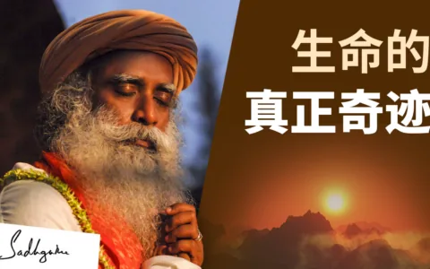 生命的真正奇迹