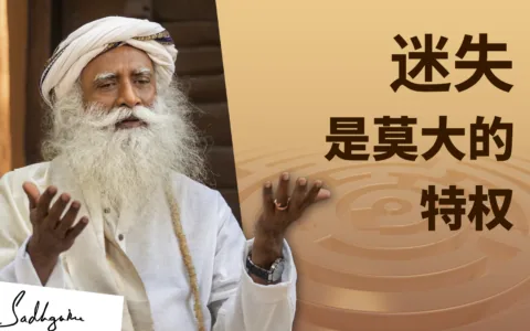 迷失是一种莫大的特权