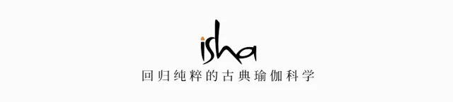 学员分享丨成为自己生命的掌舵者 