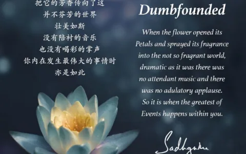瑜伽士的诗丨《花开无声》