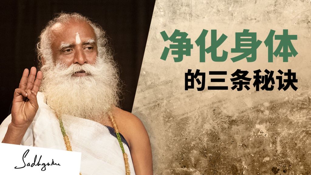 净化身体的三个秘诀