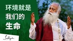 环境就是我们的生命