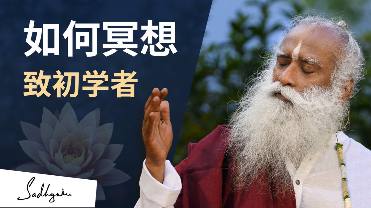 初学者“如何冥想”