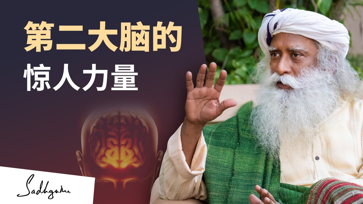 第二大脑的惊人力量