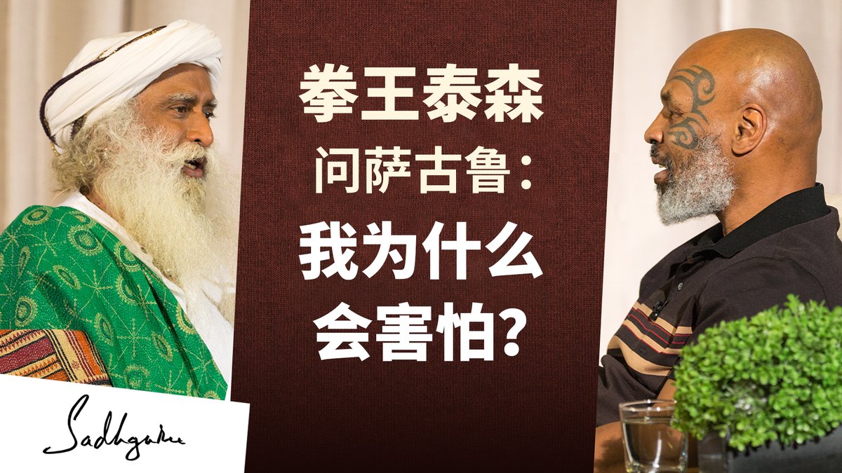 拳王泰森问萨古鲁：我为什么会害怕？