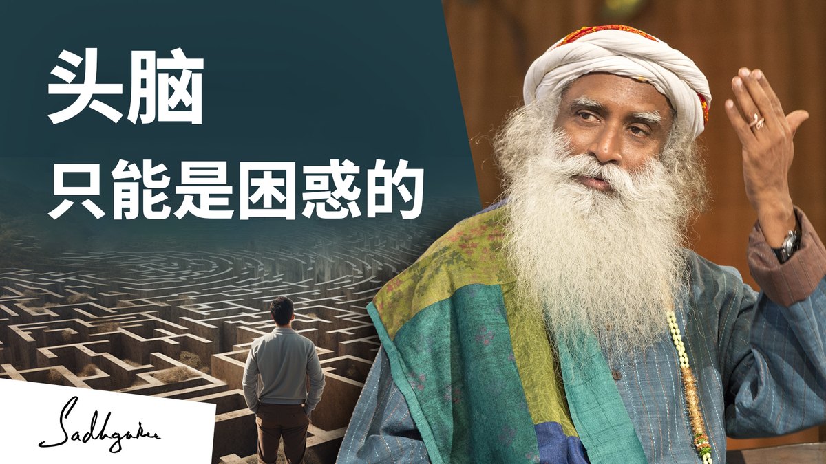 头脑只能是困惑的