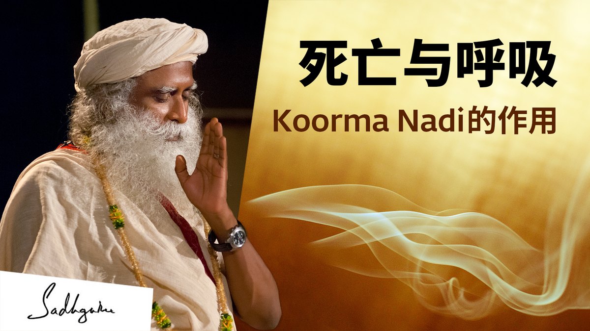 死亡与呼吸：Koorma Nadi的作用