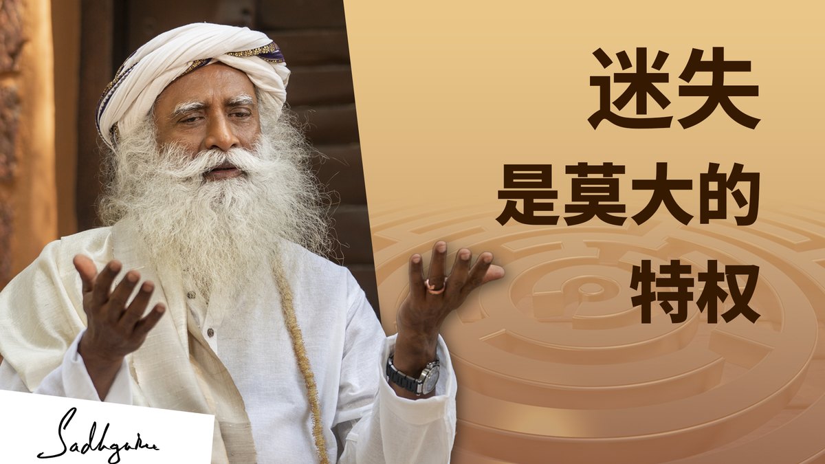 迷失是莫大的特权