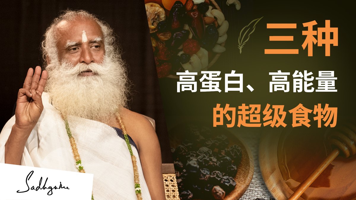三种高蛋白、高能量的超级食物