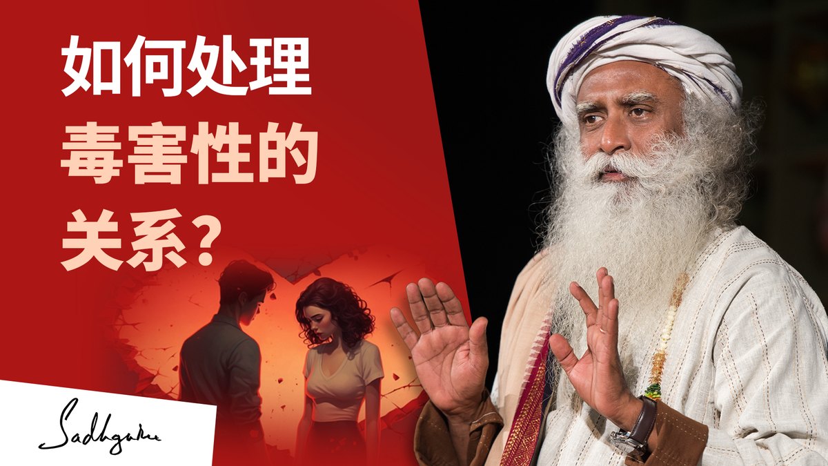如何处理毒害性的关系？