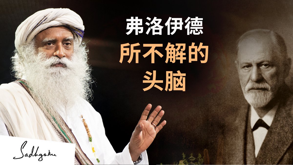 弗洛伊德所不解的头脑