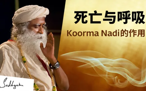 死亡与呼吸：Koorma Nadi的作用