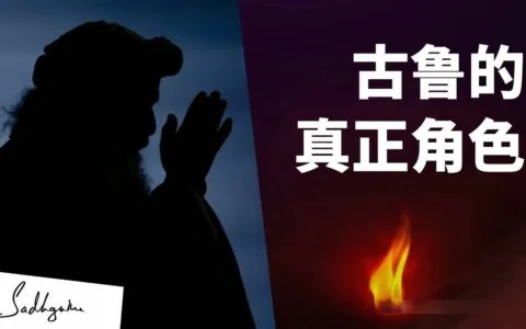 古鲁的真正角色