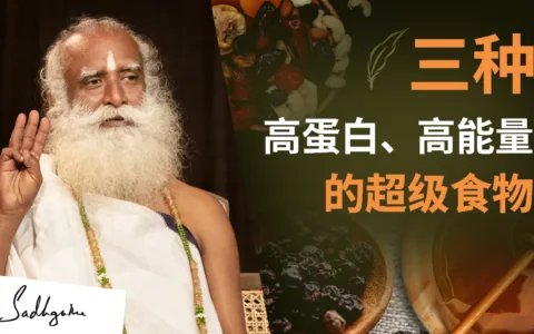 三种高蛋白、高能量的超级食物