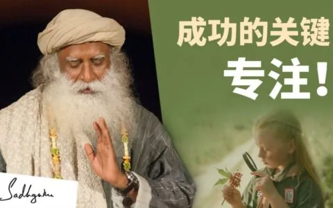 成功的关键在于专注