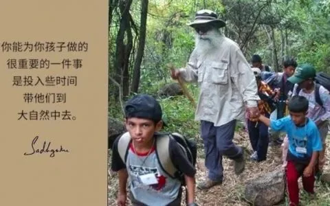 大自然可以教孩子老师和父母不能教的东西丨视频