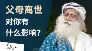 挚爱之人的离世会如何影响你的身体