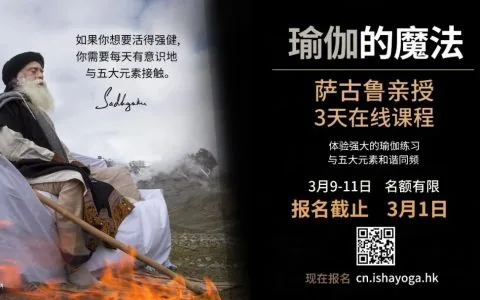 为什么五大元素和你有关？丨系列视频