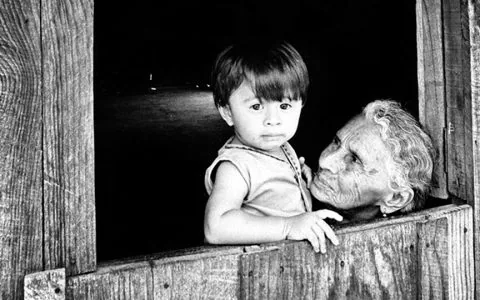 生与死的本质