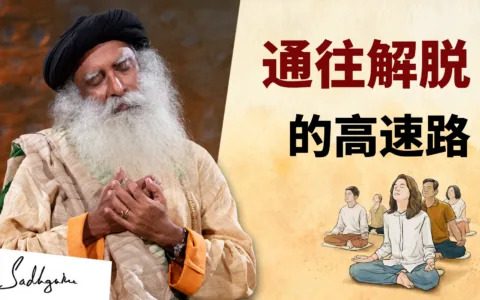 通往解脱的高速路
