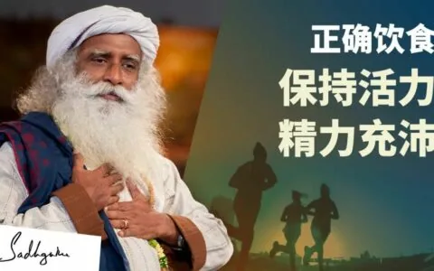 让你保持活力与精力充沛的正确饮食方法丨视频