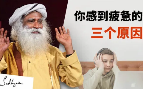 提高能量水平的食物和呼吸小贴士
