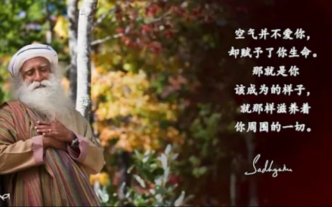 如果你真诚地滋养你所接触到的一切，生命就会变得美好