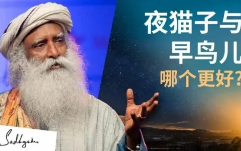 夜猫子与早鸟儿，哪个更好？丨视频