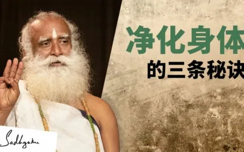 净化身体的三个秘诀