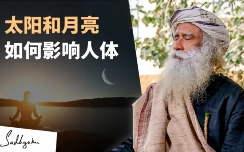 日月周期如何影响人体系统